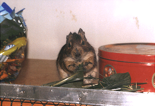 picture3.gif